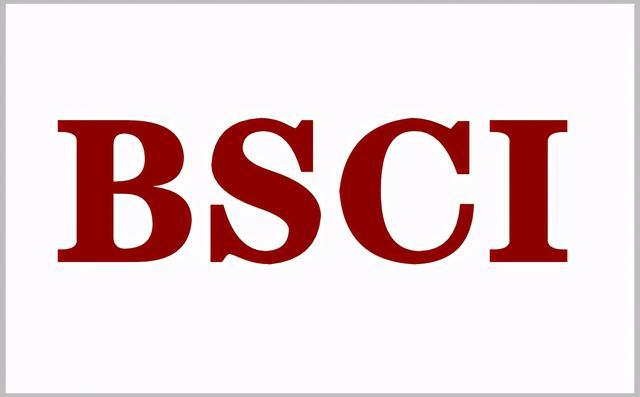 BSCI驗(yàn)廠無(wú)強(qiáng)迫勞動(dòng)問(wèn)題有哪些呢？